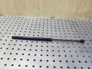 Heckklappe Gasdruckfeder rechts