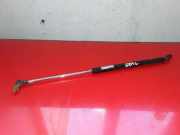 Heckklappe Gasdruckfeder links SUZUKI GRAND VITARA II (JT, TE, TD) 1.9 DDiS 4WD (TD44, JT419, JB419WD)