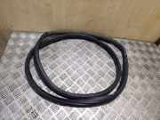 Türdichtung Audi A3 (8L) 8L483372179R