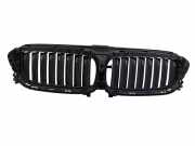 Vorderer oberer Gitter BMW 5 (G30) 530 i 0696