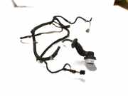 Kabel Tür Hyundai Santa Fe I (SM) 9182026022