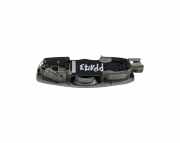 Innenleuchte Ford S-Max II (CJ, WA6) AM2113K767GD
