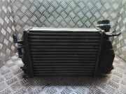 Ladeluftkühler NISSAN QASHQAI II (J11, J11_) 1.5 dCi m163236 144614ea0a