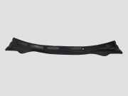 Abdeckkappe Scheinwerferwaschanlage links RENAULT LAGUNA Coupe (DT0/1) 2.0 dCi (DT01, DT09, DT12, DT1D) 668620001