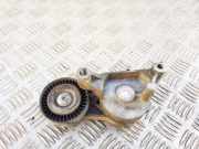 Riemenspanner VW PASSAT B7 ALLTRACK (365) 2.0 TDI 950445