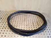 Türdichtung Audi A8 (4H)