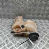 Ausgleichsbehälter LAND ROVER DISCOVERY V (L462) 3.0 D 4x4 LR081667 HY32-8A080-AB