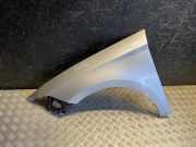 Kotflügel vorne links