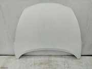 Motorhaube Nissan Juke (F15)