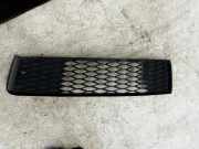 Gitter AUDI Q7 (4L) 3.0 TDI quattro 4L0807697B