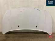 Motorhaube Ford Transit Connect V408 Kasten () 1808950