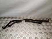 Halteband für Kraftstoffbehälter Nissan Juke (F15)