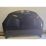Motorhaube RENAULT MEGANE III Grandtour (KZ0/1) 2.0 dCi (KZ0Y)