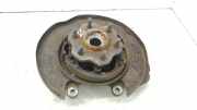 Radnabe hinten Nissan Pathfinder III (R51)