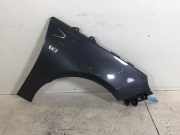 Kotflügel vorne links