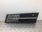 Kühlergrill unten BMW 5er (F10) 7200699