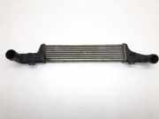 Ladeluftkühler MERCEDES-BENZ E (W210) E 220 CDI (210.006) A2105001300 2105001300