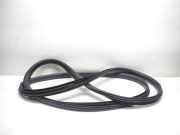 Türgummi links vorne Volvo C30 (533)