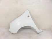 Kotflügel vorne links RENAULT KANGOO Express (FW0/1_) 1.5 dCi