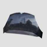Motorhaube CITROËN C4 Picasso I (UD_) 2.0 HDi 138