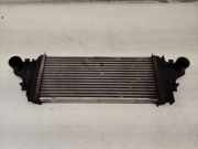 Ladeluftkühler MERCEDES-BENZ R (W251, V251) R 320 CDI 4-matic (251.022, 251.122) A2515000000