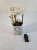 Kraftstofftankpumpe VW CADDY III Variant (2KB, 2KJ, 2CB, 2CJ) 1.9 TDI 1k0919051bg