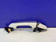 Türaußengriff hinten links JAGUAR XJ (X351) 3.0 EW93-22444-AB