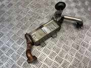 AGR-Kühler TOYOTA VERSO (_R2_) 2.0 D-4D (AUR20_) 256010R020 13064130000