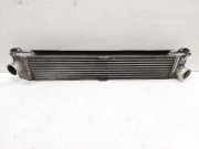 Ladeluftkühler CITROËN JUMPER Furgon (244) 2.2 HDi 1347700080