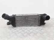 Ladeluftkühler PEUGEOT 407 (6D_) 2.0 HDi 135 9645682880