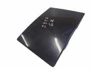 Lampenverkleidung hinten links HYUNDAI SANTA FÉ II (CM) 2.2 CRDi 4x4