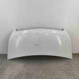 Motorhaube Opel Movano B Kasten (X62) 93197265