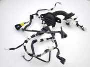 Kabel der vorderen linken Tür TOYOTA C-HR (_X1_) 1.8 Hybrid (ZYX10_) AB152F4D60