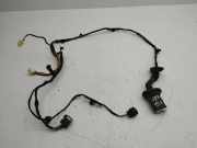 Türverkabelung hinten links CITROËN C-CROSSER (EP_) 2.2 HDi 8609915
