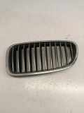 Vorderer oberer Gitter BMW 5 Touring (F11) 520 d 7200727