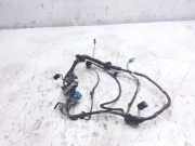 Türverkabelung hinten links JAGUAR XJ (X308) 3.2