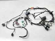 Kabel der vorderen linken Tür LAND ROVER RANGE ROVER EVOQUE (L538) 2.2 D 4x4 GJ3214630 50122296