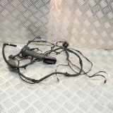 Türverkabelung hinten rechts BMW X3 (G01, F97) M Competition 8793250