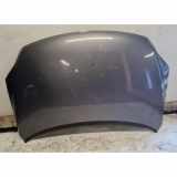 Motorhaube VW GOLF PLUS (5M1, 521) 1.4 16V