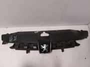 Vorderer oberer Gitter PEUGEOT 307 CC (3B) 2.0 HDi 135 9635719477