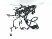 Motor Kabelbaum MERCEDES-BENZ A (W177) A 220 d (177.014) A2701590025 51001301