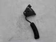 Gaspedal RENAULT MEGANE II (BM0/1_, CM0/1_) 2.0 16V (BM0U, CM0U) 8200153270