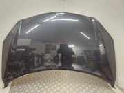 Motorhaube RENAULT KOLEOS I (HY_) 2.0 dCi (HY0K)