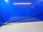 Dachleiste links LAND ROVER RANGE ROVER SPORT (L320) 2.7 D 4x4 CK52517C79