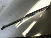 Heckklappe Gasdruckfeder links RENAULT KADJAR (HA_, HL_) 1.5 dCi 110 904516026R