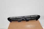 Ziergitter Citroen Saxo (S) 96019