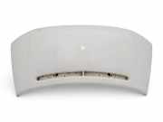 Motorhaube VW TRANSPORTER IV Minibus / passenger (70XB, 70XC, 7DB, 7DW, 7DK) 2.5 TDI