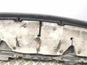 Grill Windlauf Peugeot Traveller Bus (V)