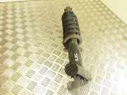 Stoßdämpfer links hinten Peugeot 407 Coupe ()