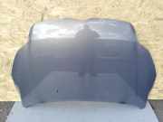 Motorhaube Ford Focus II (DA, DP, HCP)